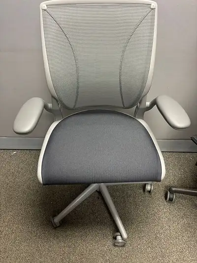 Humanscale Diffrient World Task Chair!, View more