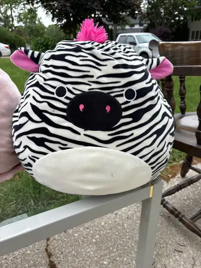 $10 each Jelly fish Zebra