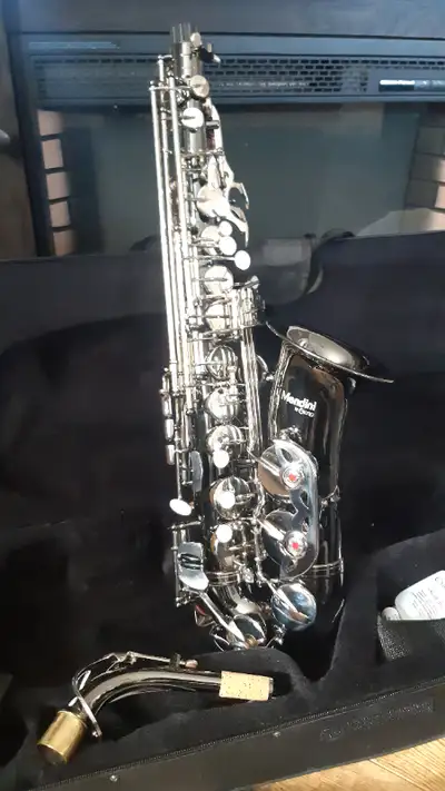 Mendini by Cecilio, alto saxaphone, only put together once to make sure it worked. Complete with har...