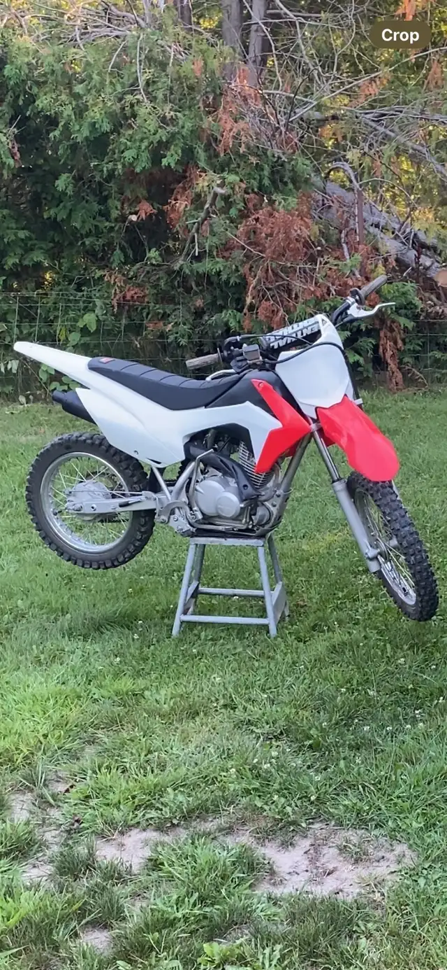 2017 Crf125F (NEED GONE ASAP) in Dirt Bikes & Motocross in Kawartha Lakes - Image 2