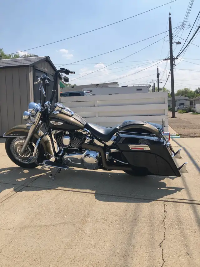 2007 Harley-Davidson Softail Deluxe in Street, Cruisers & Choppers in Edmonton - Image 3