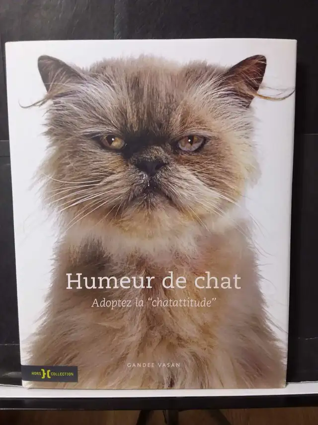 LIVRE: HUMEUR DE CHAT in Accessories in Lanaudière - Image 2