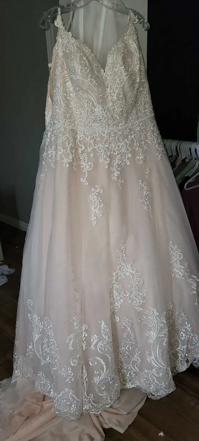Plus Size Wedding Dress in Wedding in Cape Breton - Image 8