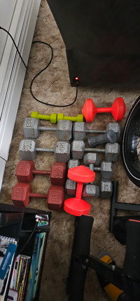 Weights and bench for sale