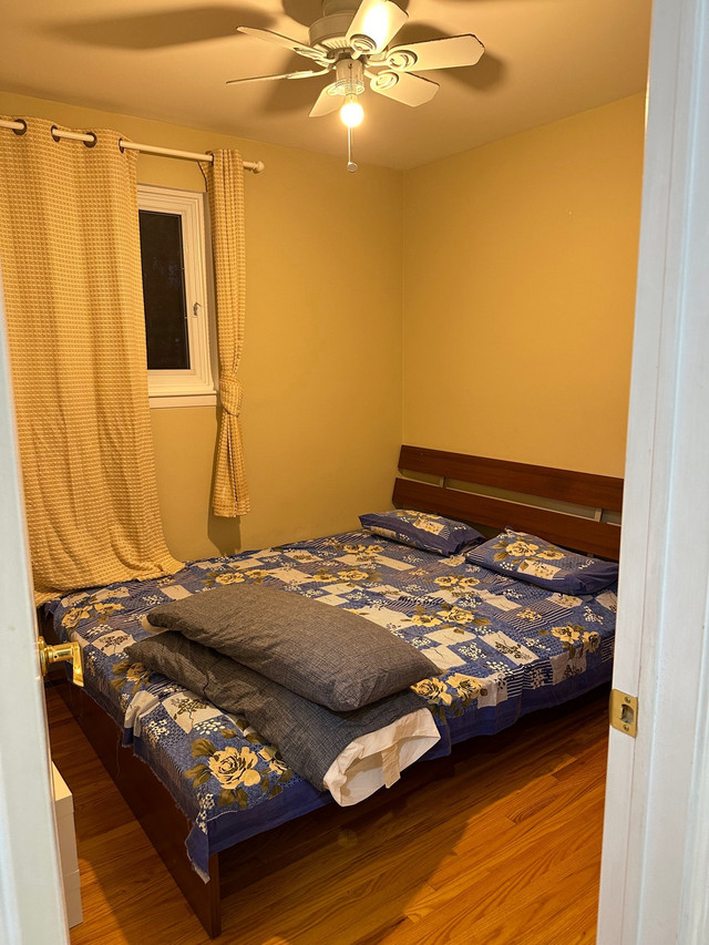 Room for rent in sharing  in Room Rentals & Roommates in Mississauga / Peel Region - Image 3