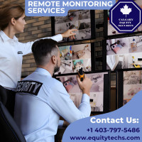 Professional Monitoring Service