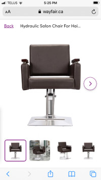 Salon Chairs New