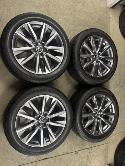 Came off of Mazda CX-9 2023 it can also fit with Mazda CX-50,Mazda CX-90 and most SUV’s with the sam...