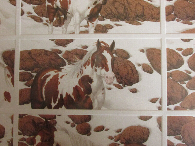 Bev Doolittle Hide and Seek lithograph, video, signed print in Arts & Collectibles in Oakville / Halton Region