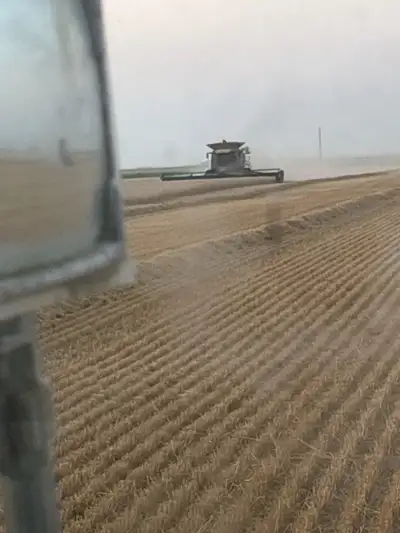Custom Harvesting available. If you need a hand let us know running Lexion/Claas combines with Macdo...