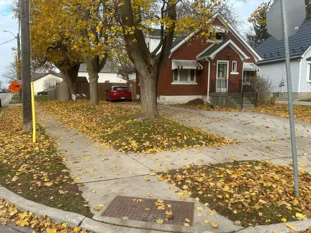 fall clean up/ winter sign up