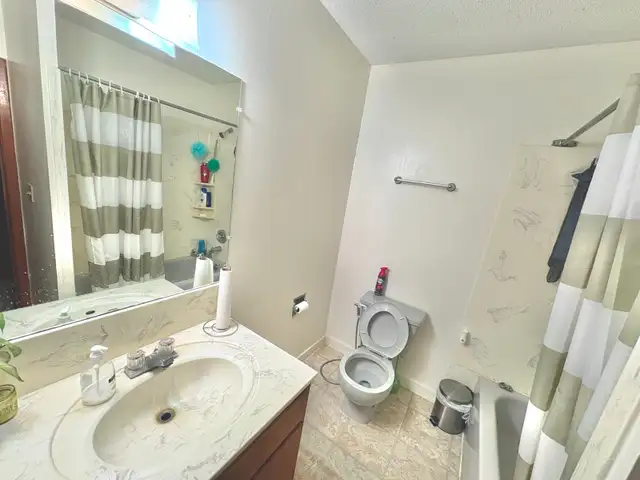 Room for Rent (Roommate) in Room Rentals & Roommates in Regina - Image 4
