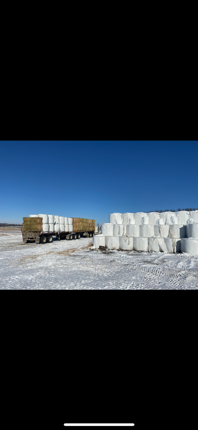 Alfalfa/grass silage bales, 1250lbs average 45% moisture able to load or deliver at additional cost...