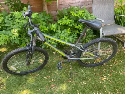 3 Vélos pour ados à vendre, utilisé à peine un été, 65$, View more
