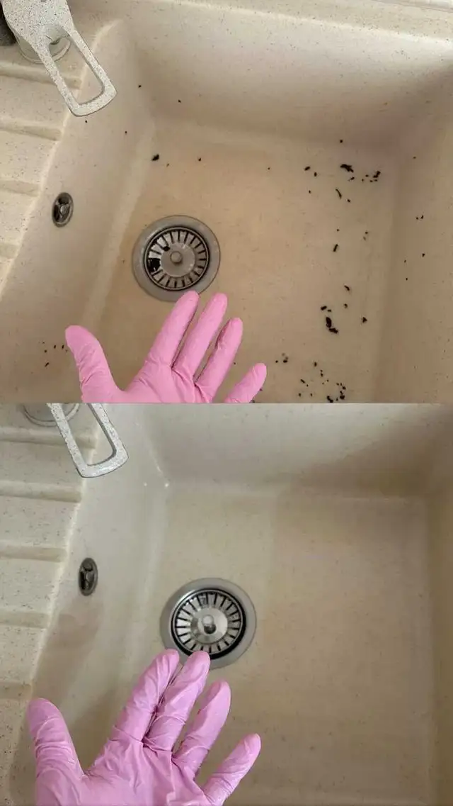 Same day Cleaning Special/ $20 off first clean65392409734145121