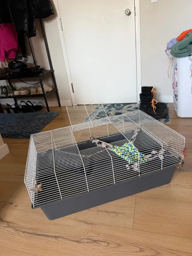 Ensemble cage à rongeurs (équipement complet) in Accessories in St-Georges-de-Beauce - Image 3