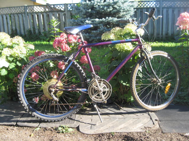 One of two adult, reconditioned bikes at $75. in Mountain in Thunder Bay