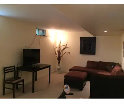 Cozy one bedroom apartment