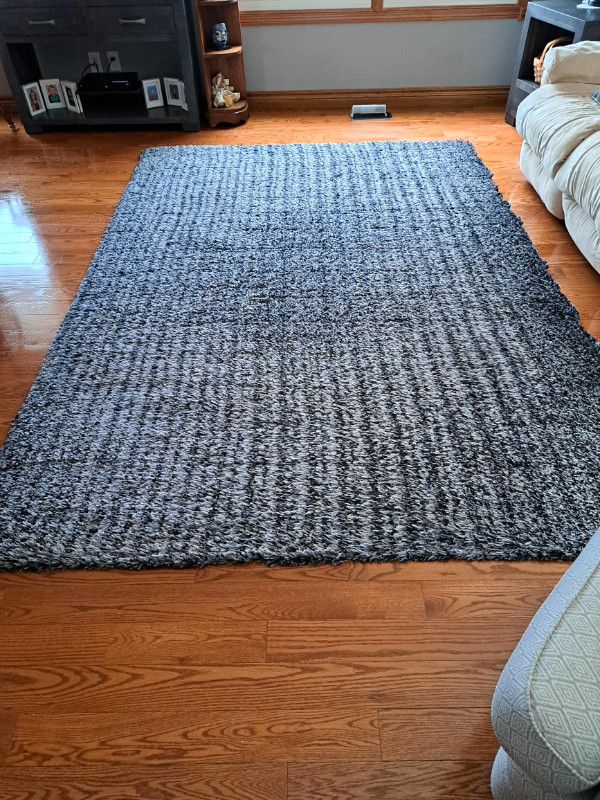 AREA RUG Rugs, Carpets & Runners Woodstock Kijiji