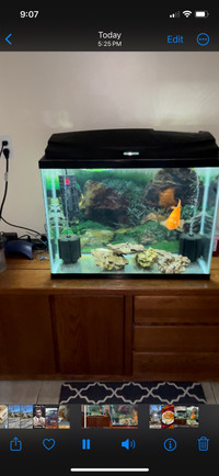 40 gallon fish tank everything included won’t gone asap  