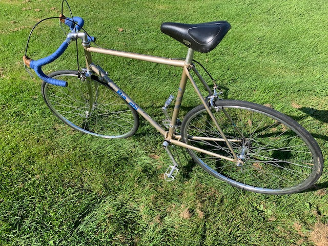 Vintage 1980s Bianchi L'Eroica in Road in Cole Harbour - Image 2