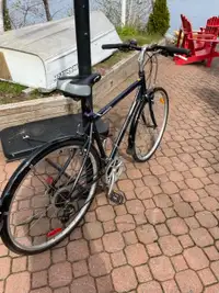 Miele Umbria 200 bike