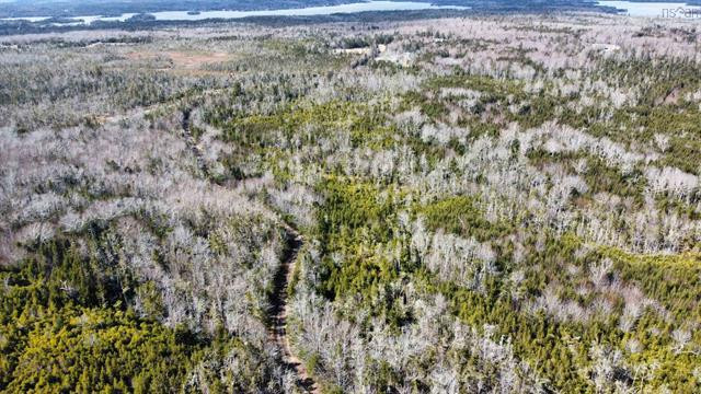 35 Acres of Vacant Land for Sale in Land for Sale in Cole Harbour - Image 2