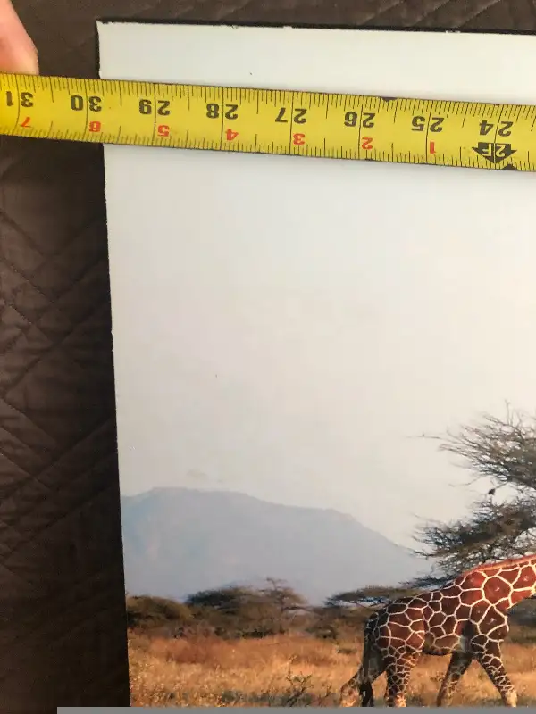 Wall  art- --3 giraffes438519983066337285