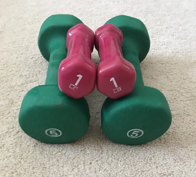1 lbs AND 5 lbs WEIGH,, AND  -YORK-  BARBELL BARWEIGHT'S in Exercise Equipment in Hamilton - Image 2