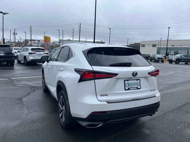 2021 Lexus NX300 in Cars & Trucks in City of Halifax - Image 3