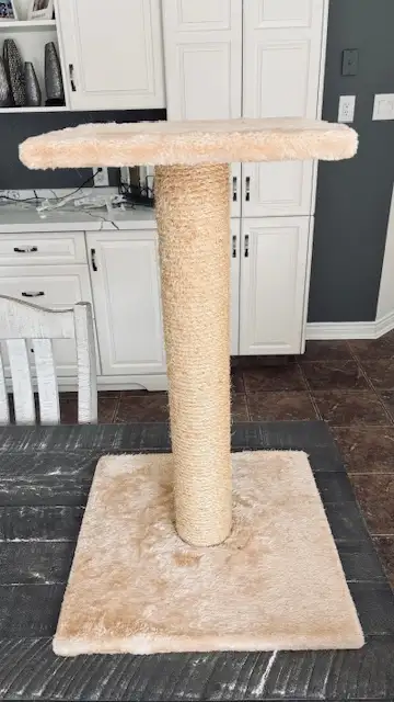 25" high cat scratching post, View more