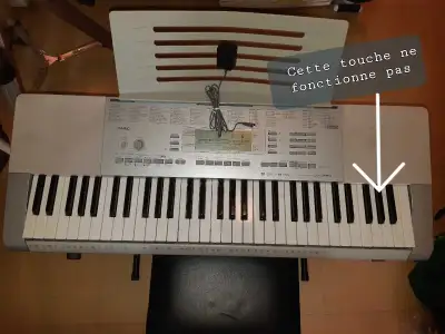 Découvrez ce clavier Casio LK-280, un instrument de musique avec 61 touches lumineuses qui faciliten...