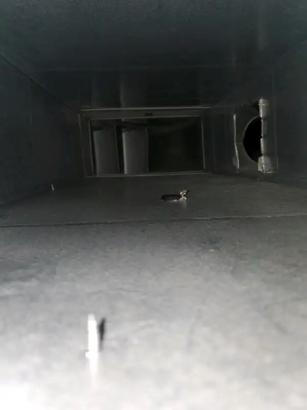Air duct cleaning starting from $99.9963860080561539124