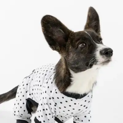 Silver Paw  DOG Pajamas, View more