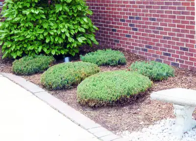 Elite Landscaping & Snow Removal, we specialize in creating and maintaining beautiful, functional ou...