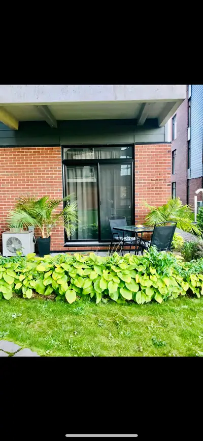 Dalymorin 420 19e Avenue 4 et demi -Lachine -Rez-de-chaussée -Disponible dès le 1er Juin 2025 INCLUS...