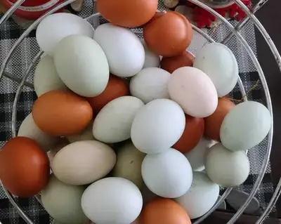 Farm Fresh Eggs, View more