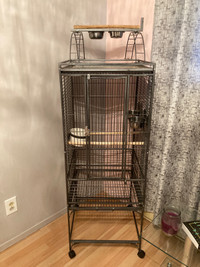 Cage pour petit perroquet 