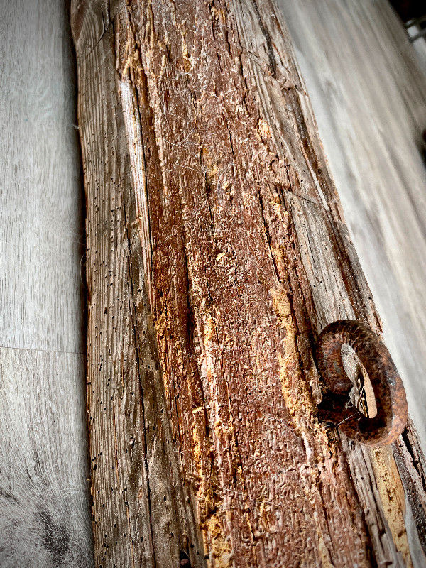 Poutre en bois de grange authentique 7.7 pi long 7pcs x 6pcs dans Décoration intérieure et accessoires  à Ville de Montréal - Image 4
