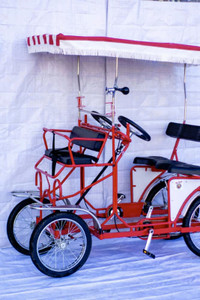 Brand New Quadricycle Quad Bike / Bicycle
