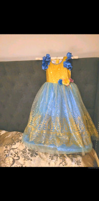 New princess dress 3 - 4 T Halloween costume princesse neuf