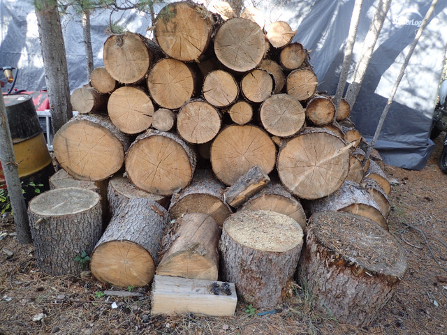 Firewood for sale! in BBQs & Outdoor Cooking in Whitehorse - Image 3
