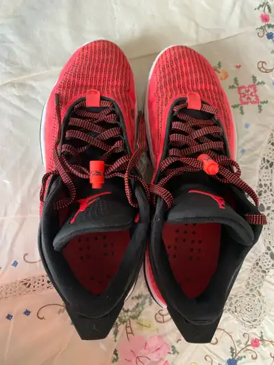 Jordan XXXVI barely used size 11, View more