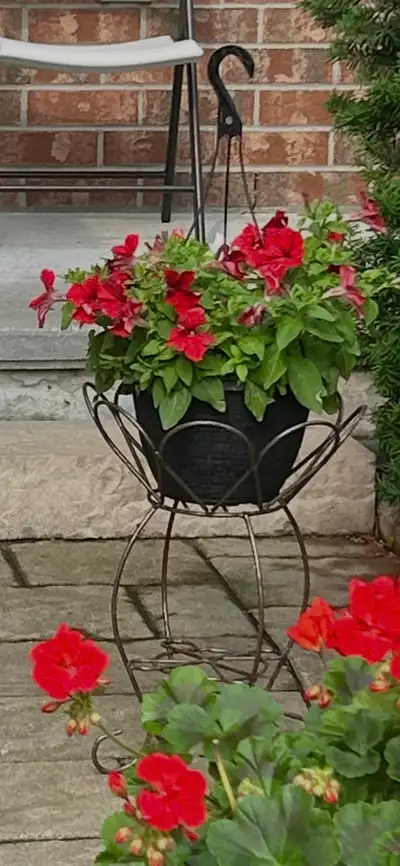 Scalloped Plant Holder, View more