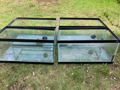 aquarium à donner, View more