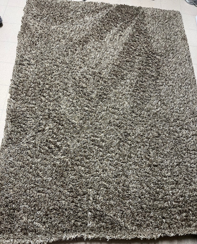Shag Rug in Rugs, Carpets & Runners in Medicine Hat