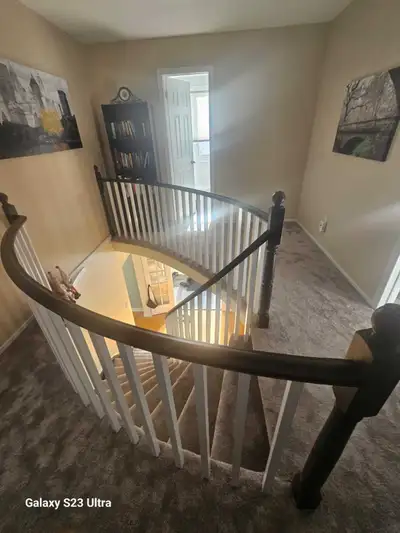 CARPET AND RAIL PROJECTS , View more