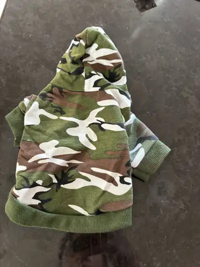 dog accessories, View more