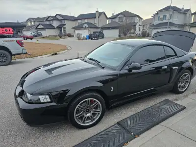 Hey guys, I’m selling this 2003 Cobra SVT 10th addition in behalf of a friend Mileage: 56,238km Limi...