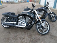 Harley Davidson VRod Muscle 'VRSCF'